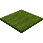 Floating Carpet