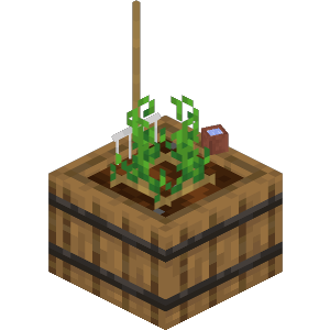 Farm