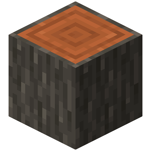 Acacia Log
