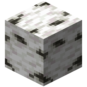 Birch Wood