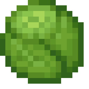 Cabbage icon