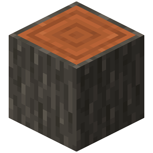 Acacia Log