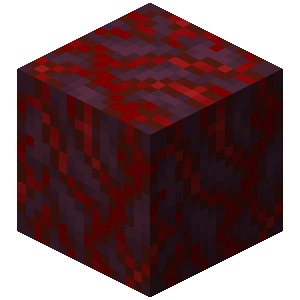 Crimson Hyphae